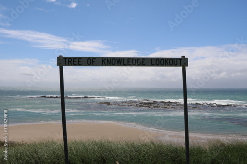 Tree of knowledge lookout in Wooli, New South Wales  Australia photo