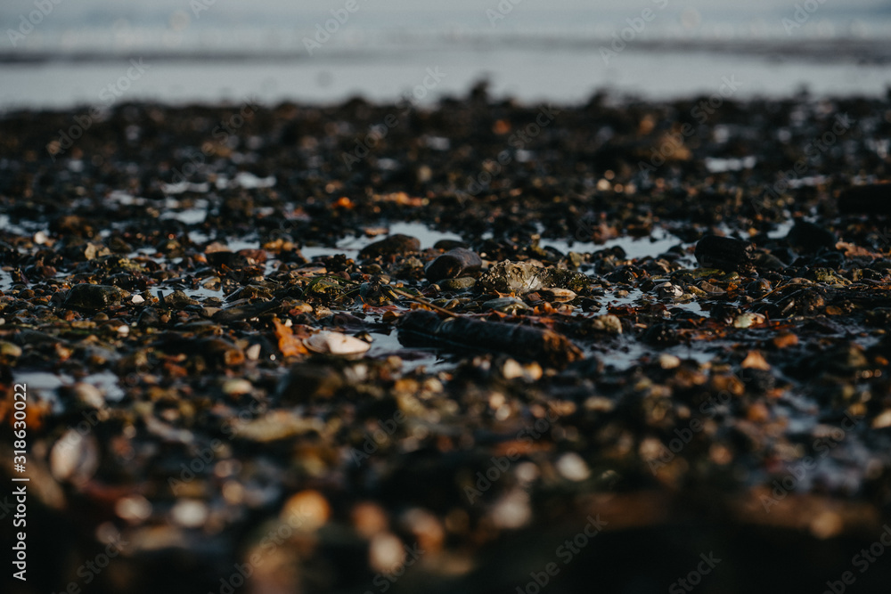 Das Meer im Herbst Das Meer im Herbst
