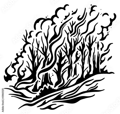 Wildfire