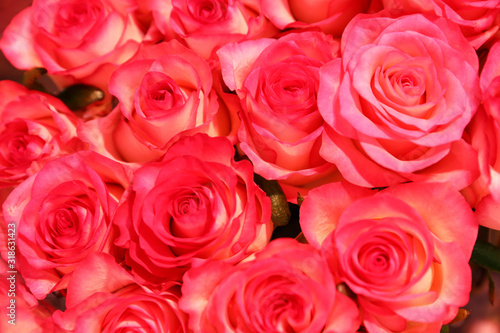 Beautiful fresh bright roses as background  closeup. Floral decor