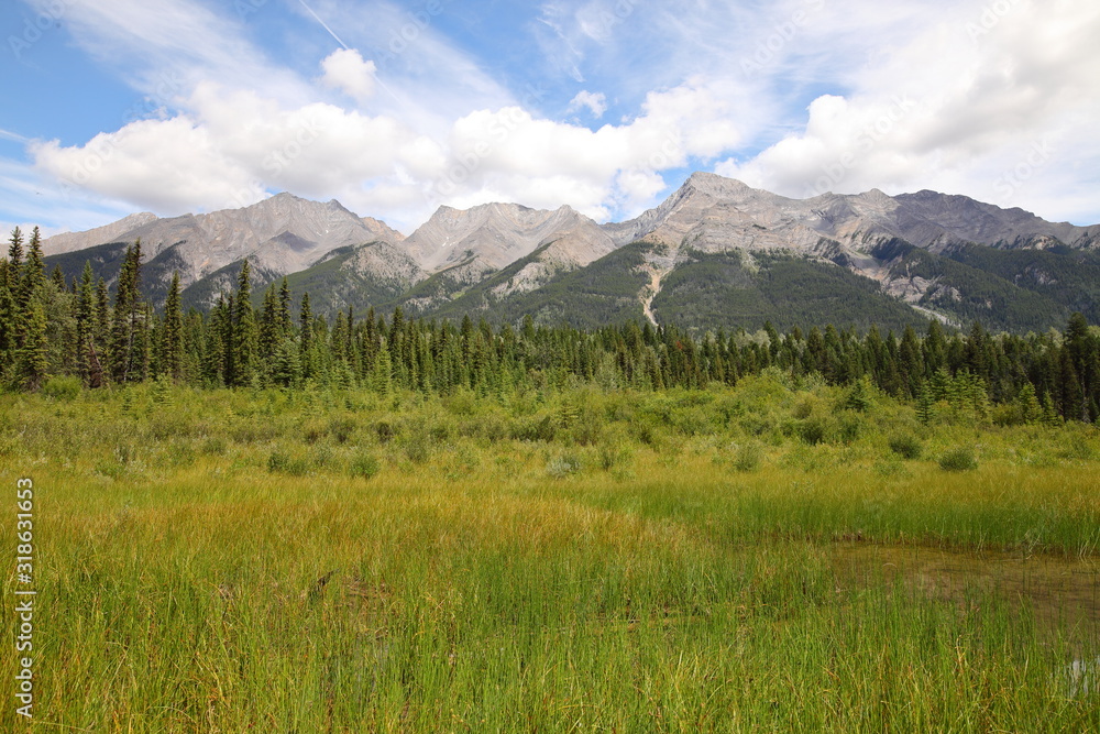 Obraz premium Rocky Mountains landscape with snowy summits, pine trees forests in Canada, British Columbia, West coast