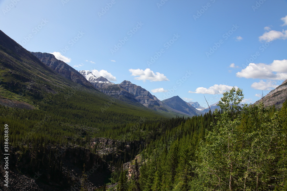 Rocky Mountains landscape with snowy summits, pine trees forests in Canada, British Columbia, West coast