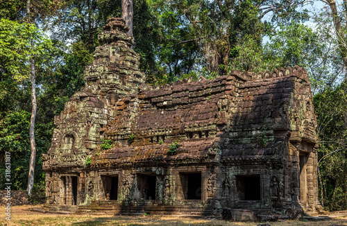 Angkor wat jungle in Siem Reap Cambodia.