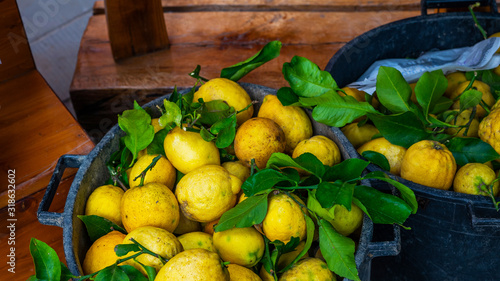 Cinque Terre  Italy. Fresh lemon with leaves. Lemon tree. Basket of yellow lemons with fresh lemon on wooden street market counter.
