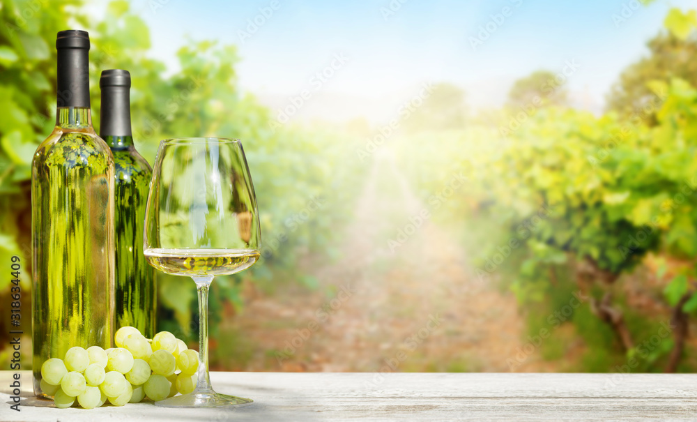 White grapes and white wine in bottles
