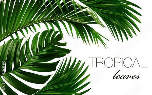 Vector horizontal banner with green tropical leaves on white background. Luxury exotic botanical design for cosmetics, spa, perfume, aroma, beauty salon. Wedding invitation card 