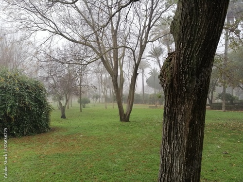 parque en un diá de niebla © Francisco