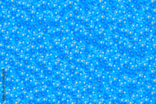 blue forget-me-not flowers background