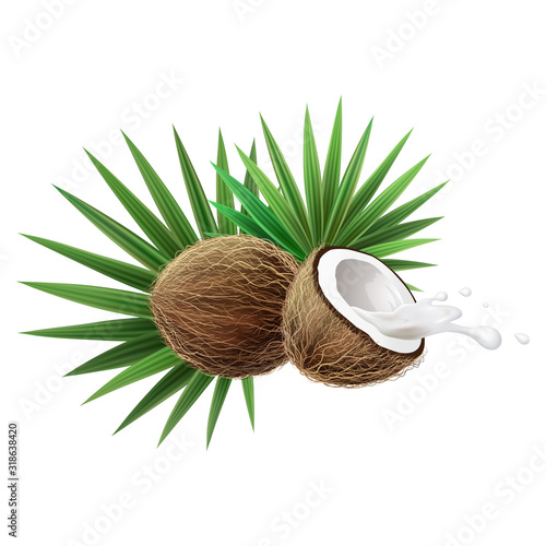 3d realistic vector illustration. Coconuts and palm leaves with spray of milk isolated on white background.. Tropical fruits for your design.