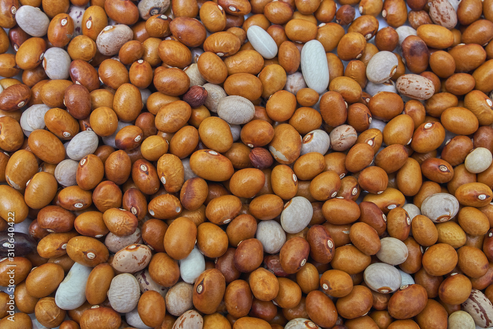 Background of many grains of dried beans. Brown beans texture. Food background. Background of many grains of dried beans. Brown beans texture. Food background.