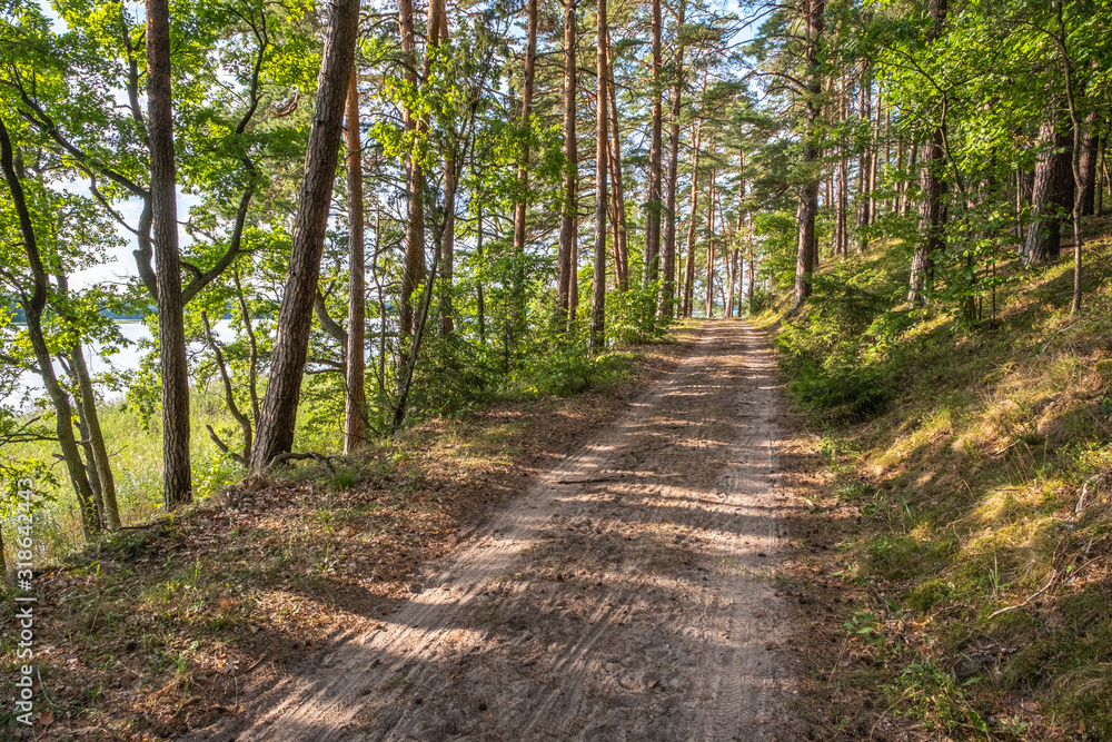 Waldweg durch einen lichten Kiefernwald am Ufer des Jezioro Mokre in Masuren Ermland Polen Waldweg durch einen lichten Kiefernwald am Ufer des Jezioro Mokre in Masuren Ermland Polen