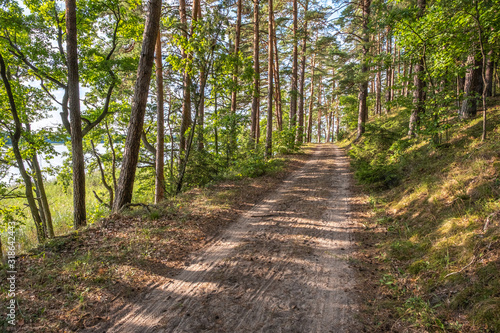 Waldweg durch einen lichten Kiefernwald am Ufer des Jezioro Mokre in Masuren Ermland Polen