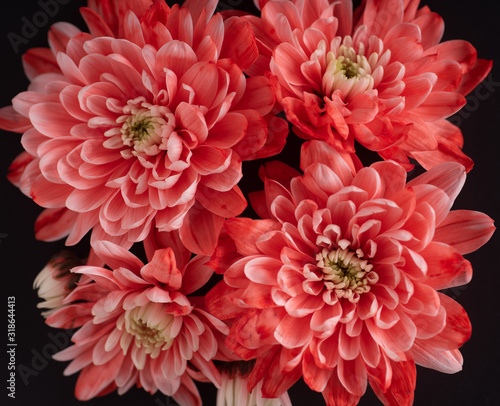 bouquet of red flowers