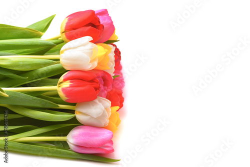 Fototapeta Naklejka Na Ścianę i Meble -  Bouquet of fresh, bright, multi-colored tulips on a white background, isolated.
