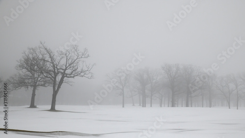 foggy morning winter snow landscape