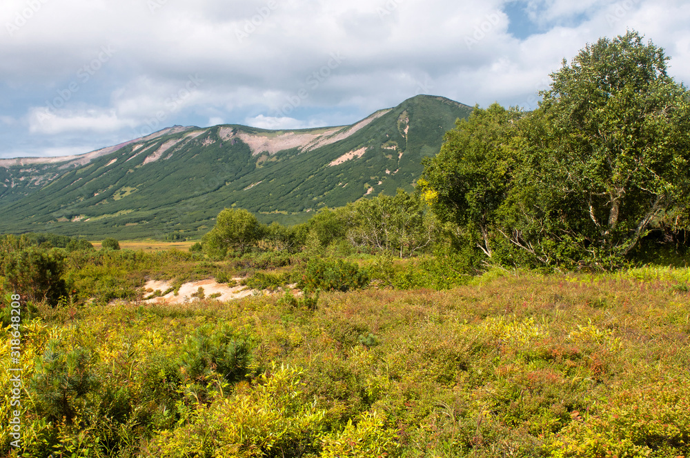 Fototapeta premium Kamchatka