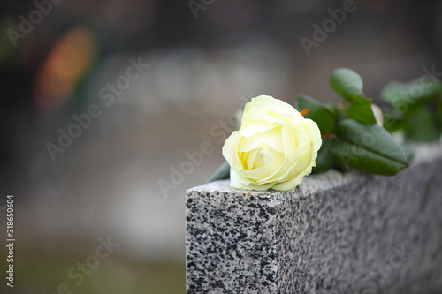 White rose on grey granite tombstone outdoors, space for text. Funeral ceremony photo