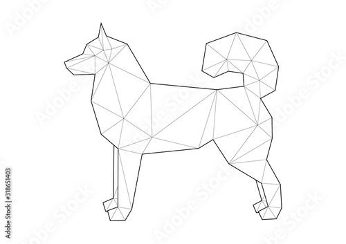 Low poly illustrations of dogs. Siberian Husky standing on white background.