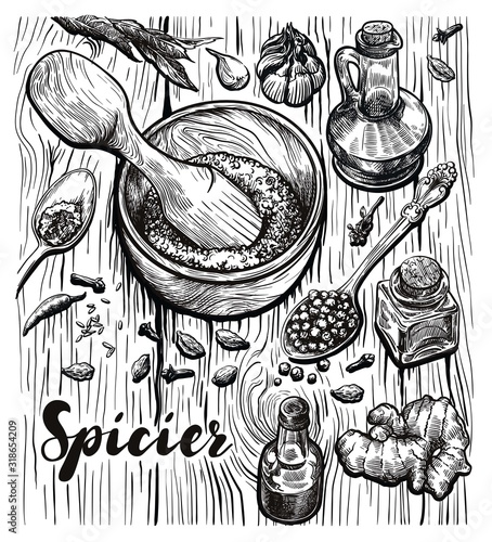 natural seasonings, oils and spices. set of freehand sketches