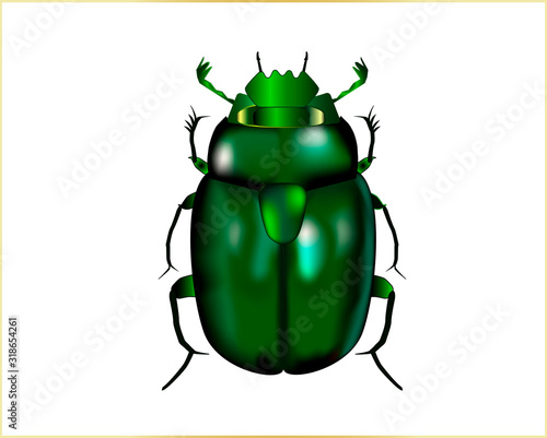 The beetle is metallic green in color, similar to the Cetonia aurata. Vector illustration on a white background.