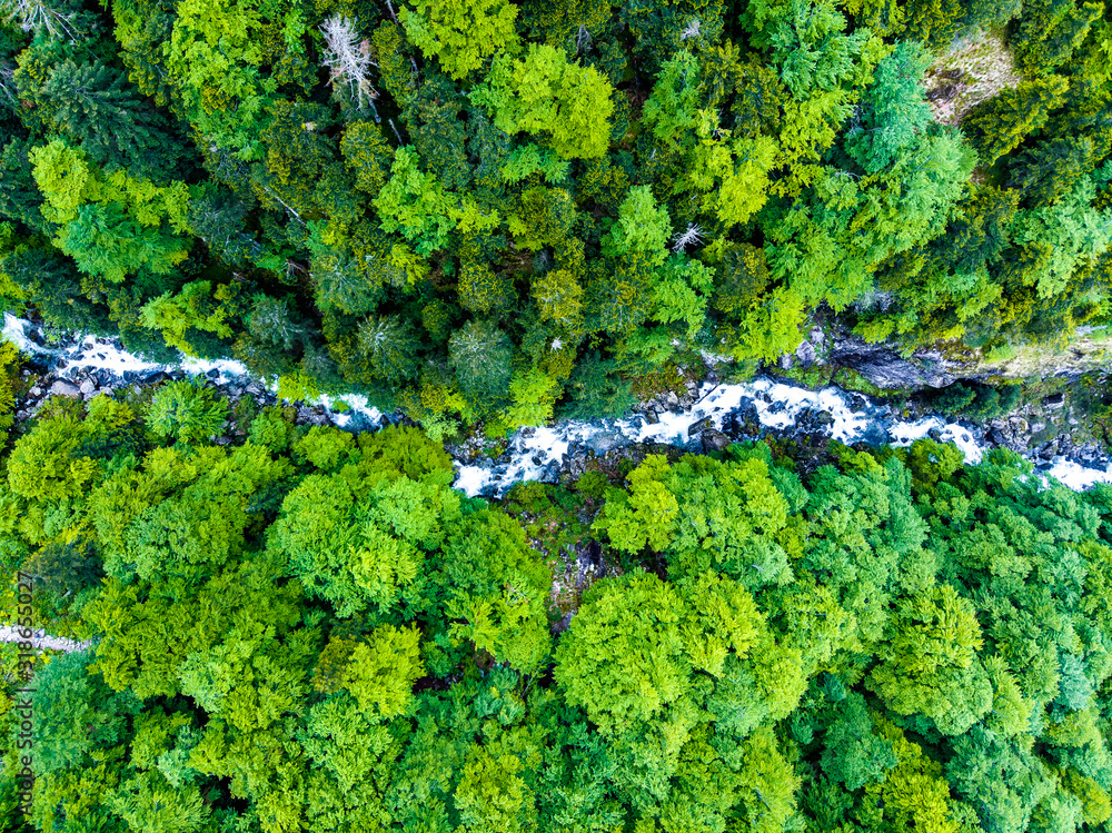 Fototapeta Aerial view. River flowing in the forest.