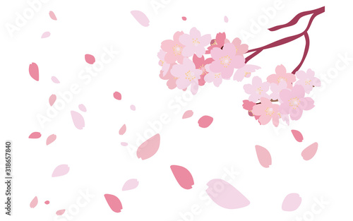 イラスト素材 桜 さくら サクラ 花びら 木 ベクター Stock ベクター Adobe Stock