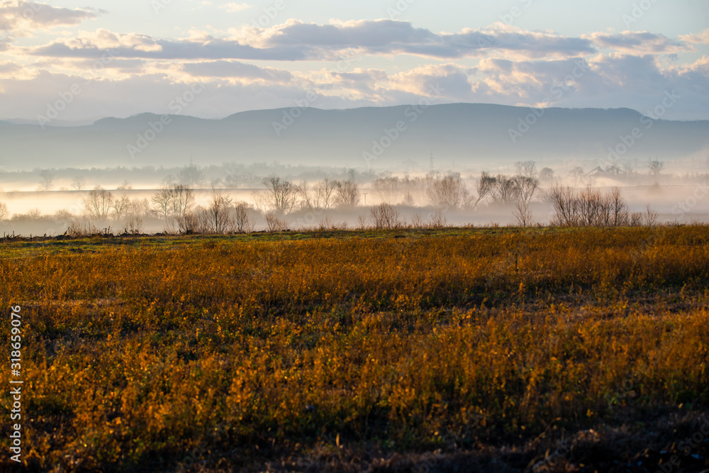 Fototapeta premium Morning fog