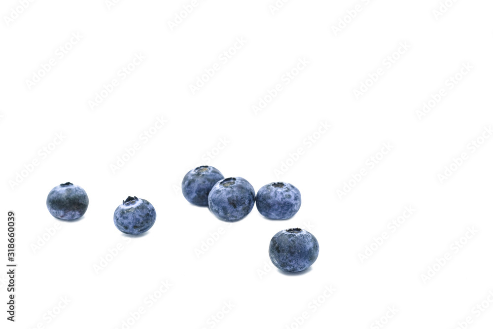 selective focus one in group of blueburry fruit. Isolated on white background with copy space. selective focus one in group of blueburry fruit. Isolated on white background with copy space.