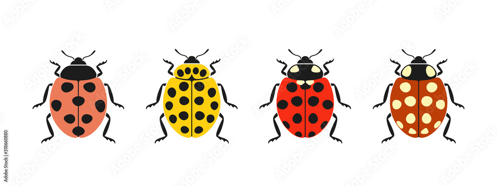 Fototapeta premium ladybug logo. Isolated ladybug on white background