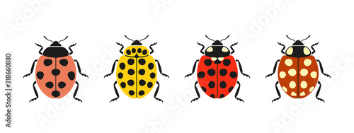ladybug logo. Isolated ladybug on white background