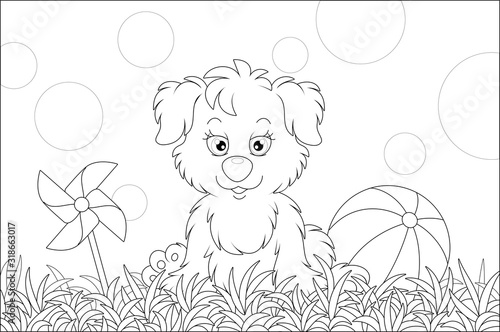 Funny little pup sitting on grass after a game with striped ball on a playground in a summer park, black and white vector cartoon illustration for a coloring book page