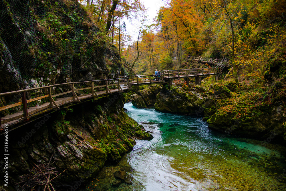 Autumn landscaoe near river Autumn landscaoe near river