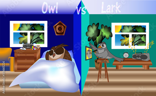 Lark vs Owl - neighbors owl and lark, different times of sleep and wakefulness, owl sleeps, lark hammer a nail, vector clip art