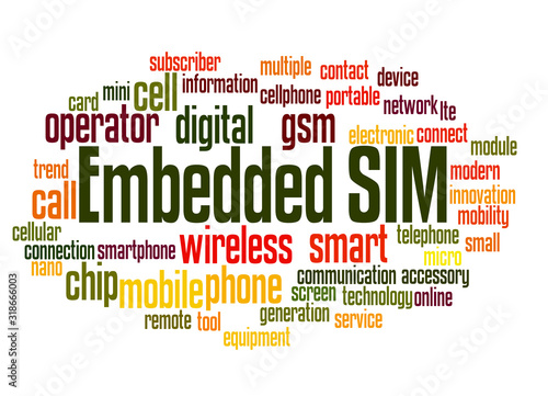 Embedded SIM word cloud concept 2