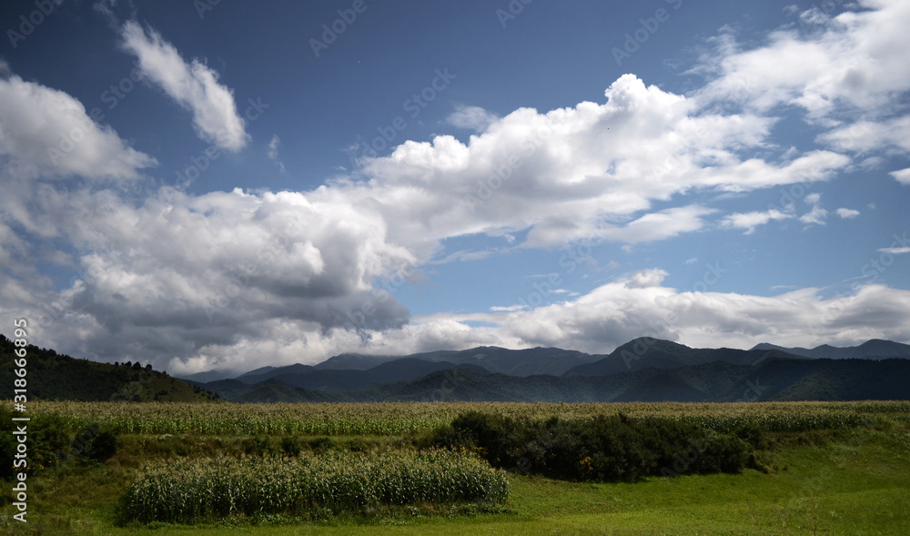 Lanscape with clouds and corn in front of Fagaras mountains in Romania