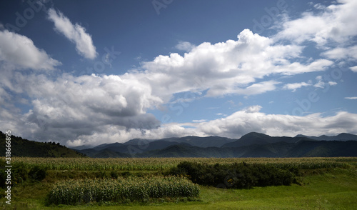 Wallpaper Mural Lanscape with clouds and corn in front of Fagaras mountains in Romania Torontodigital.ca