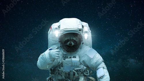 Naklejka Raccoon in open space shows like. Space animal in a space suit on a background of a starry sky. Concept