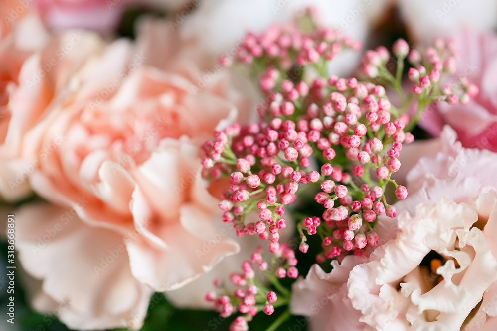 Delicate bouquet of eustomas, carnations, cotton, spray roses and David Austin roses, in pink and beige colors. Delicate bouquet of eustomas, carnations, cotton, spray roses and David Austin roses, in pink and beige colors.