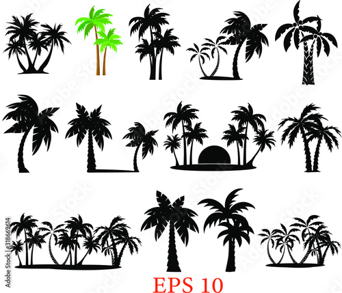 Tropical palm trees set silhouettes. Palm set clip art  black palms  Eps 10