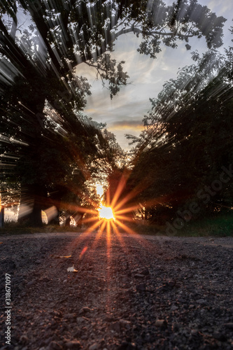 Sunset
