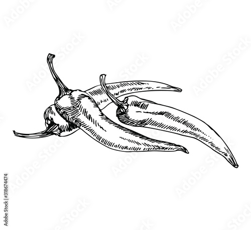 Hot chili pepper in line art style.