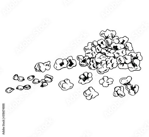 Pop corn lying in a bunch in line art style.