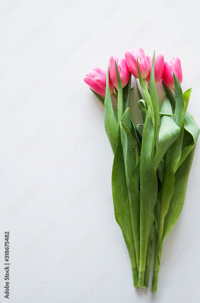 Bouquet of beautiful pink tulips on a white background, top view