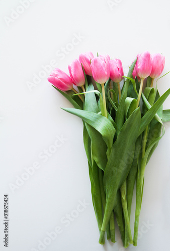 Bouquet of beautiful pink tulips on a white background, top view © Viktoria Stetskevych