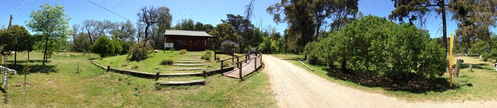 Pine tree municipal park - Monte Hermoso - Panoramic view