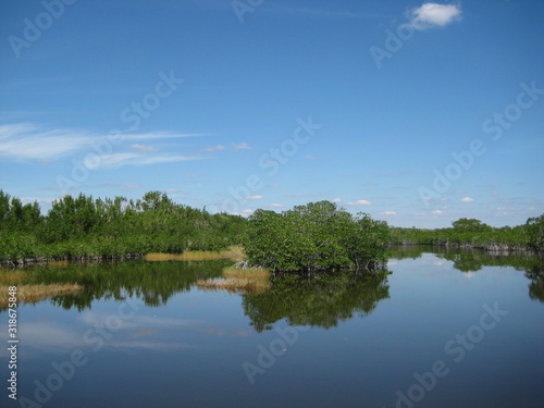 Everglades national park in South Florida, mangroves grow every were over the swamp © felipe