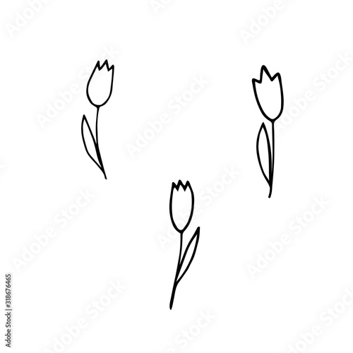 and drawn illustration. Funny tulips. Doodle style, black lines on white, simple silhouettes.