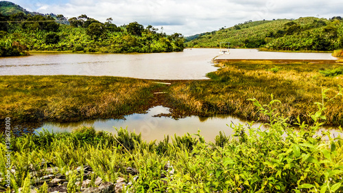 landscape with river