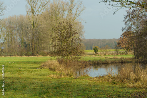 die wasserburg gemen im münsterland photo