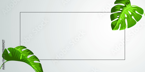 Creative layout made of colorful tropical leaves on white background. Minimal summer exotic concept with copy space. Vector illustration background.